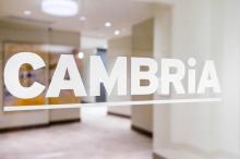 cambria