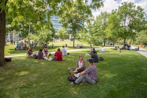 people sitting in park