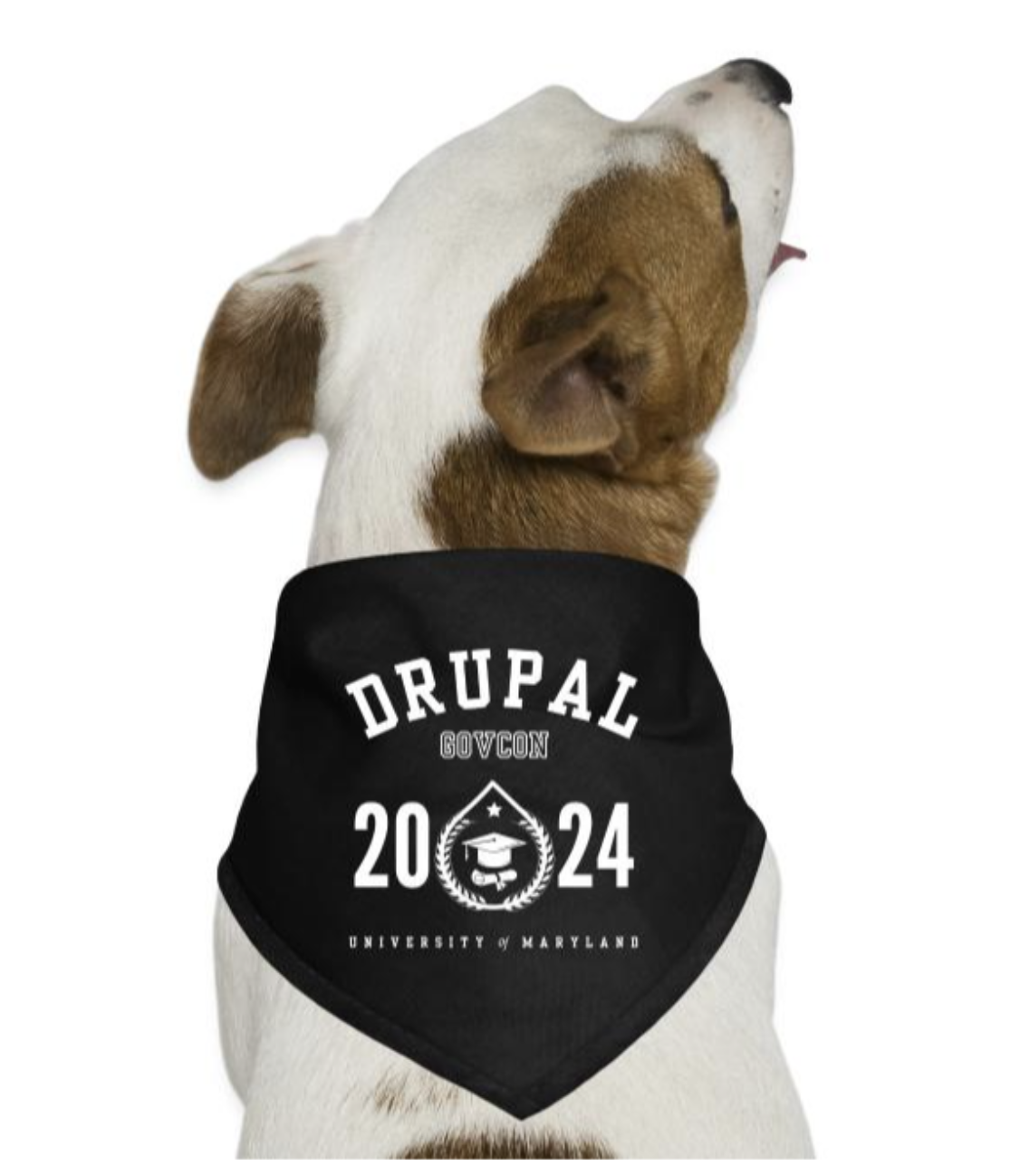 Drupal GovCon dog bandana