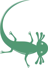 Axolotl Digital